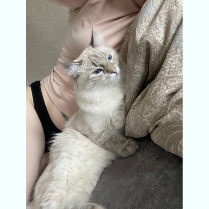 ��e� ���ep����� ��a���c�� � ������ 